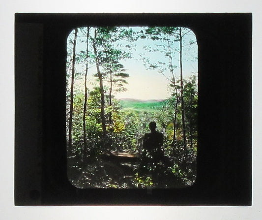 WOODLAND SCENE. HAND COLORED PHOTO ON GLASS.