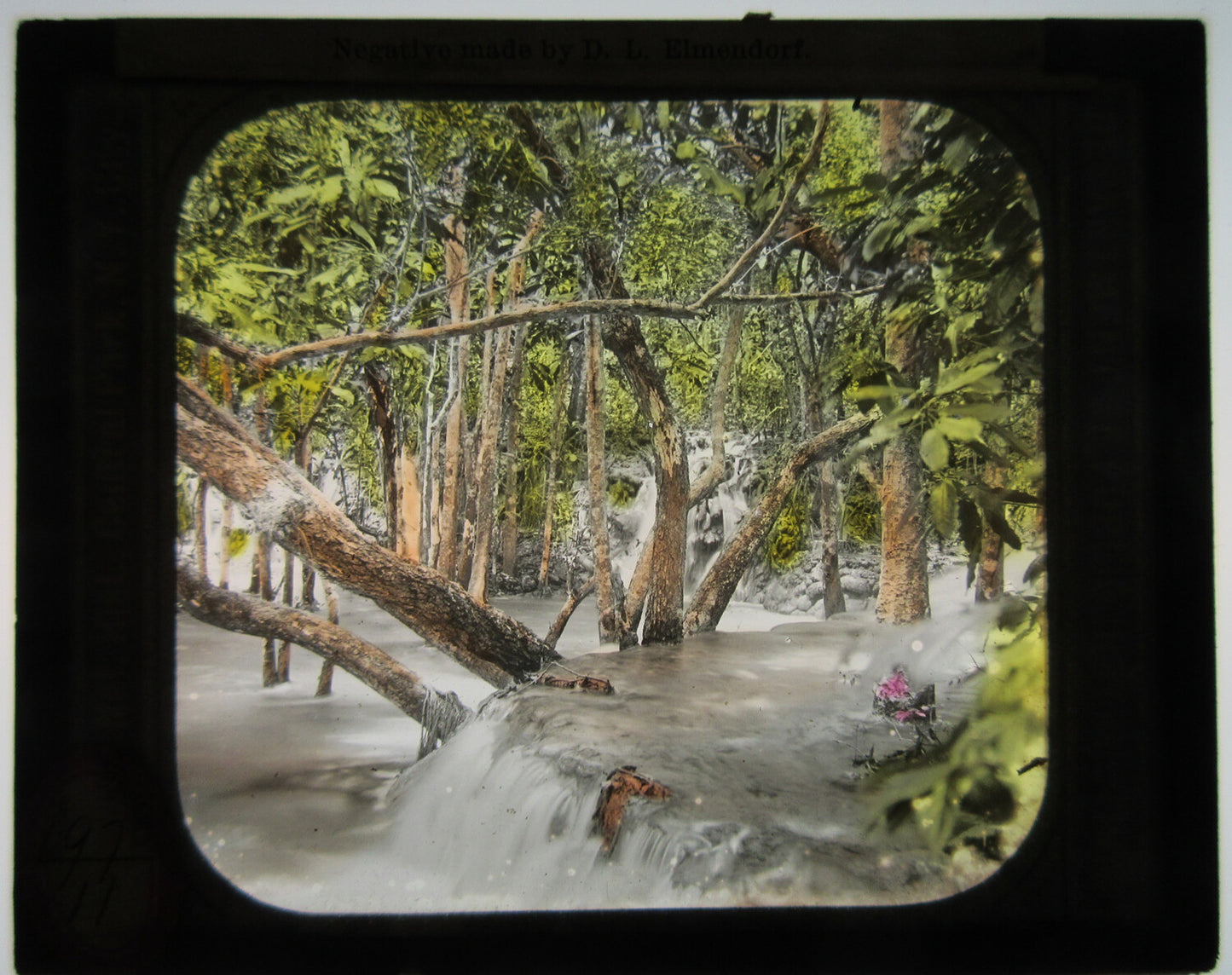 WATER FLOWING OVER ROCKS IN WOODLAND SETTING. TINTED LANTERN SLIDE.