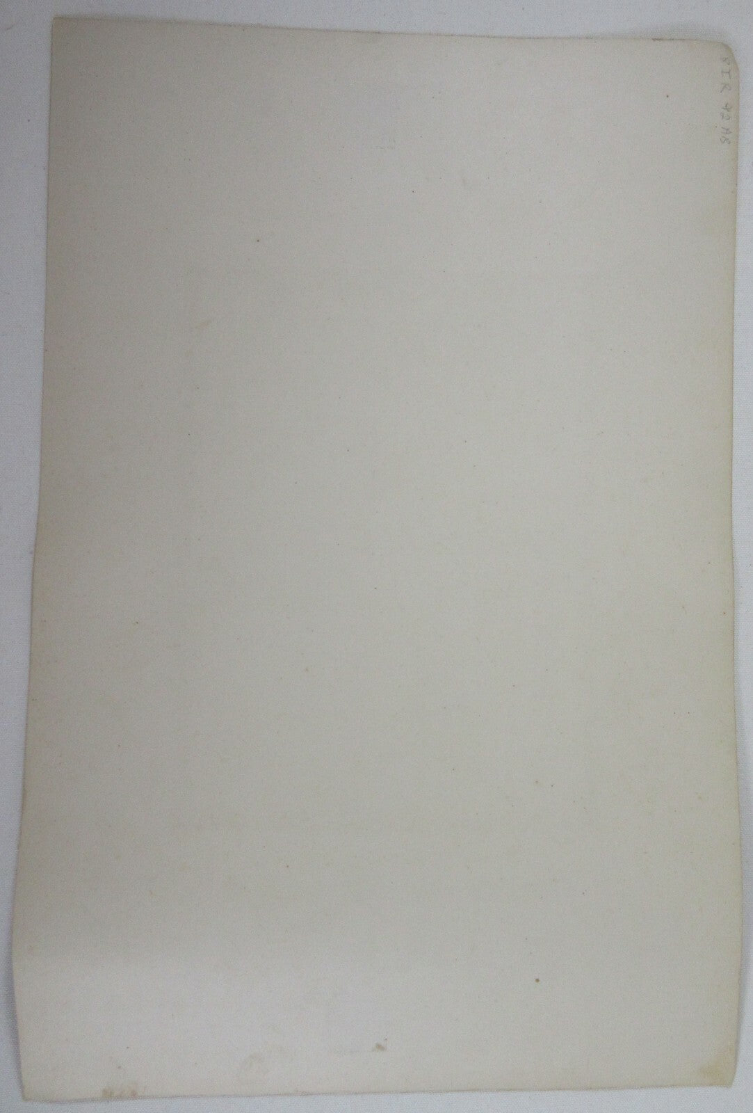 WRESTLER, SCULPTURE. 10X7.5 INCH ALBUMEN ON 19.25X12.5 INCH CARD.