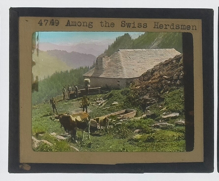 VINTAGE LANTERN SLIDE ���Among The Swiss Herdsmen��� 3.25X4IN