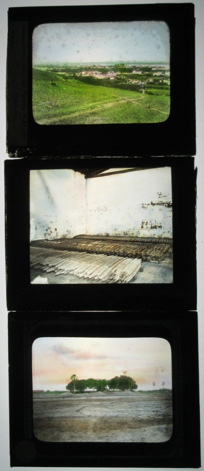 AGRICULTURE, BRAZIL. 3 SET. TINTED PHOTO ON GLASS. HAND COLORED PHOTO ON GLASS.