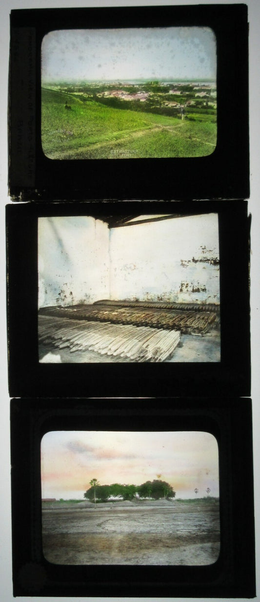 AGRICULTURE, BRAZIL. 3 SET. TINTED PHOTO ON GLASS. HAND COLORED PHOTO ON GLASS.