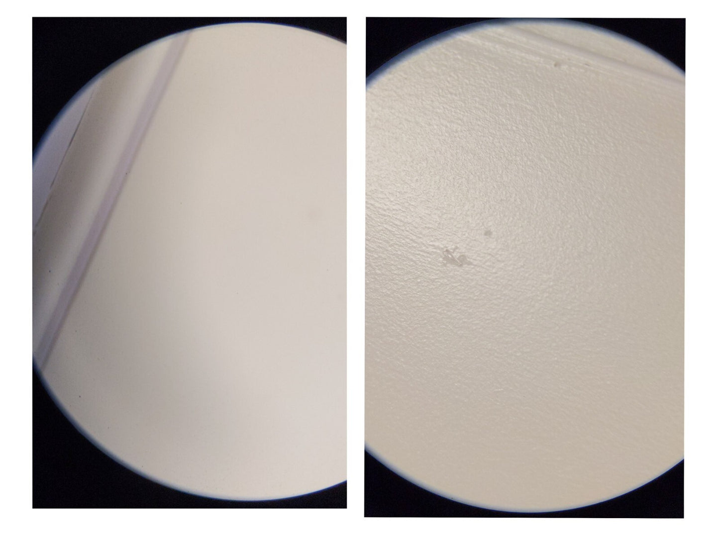 Bausch & Lomb 7X50 Binoculars with Case and Soft Foam Strap