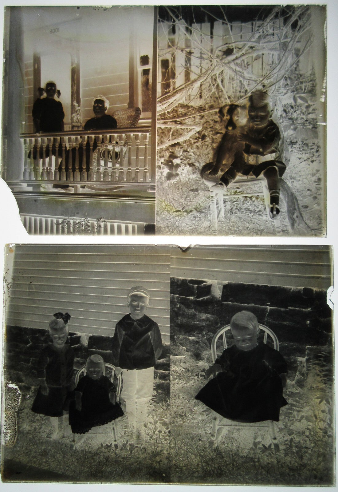 FAMILY/CHILDREN/PUPPY, POSED OUTDOORS. MULTIPLE IMAGES ON TWO 5X7 GLASS NEGATIV