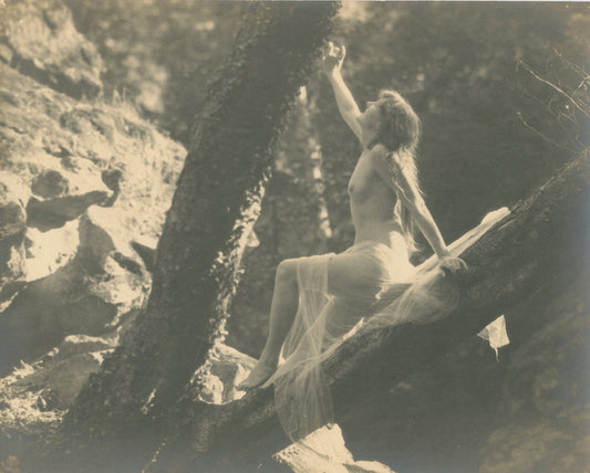 VINTAGE SEMI NUDE WOMAN IN TREE. 10X7 B&W IN 11X14 INCH ARCHIVAL MAT.