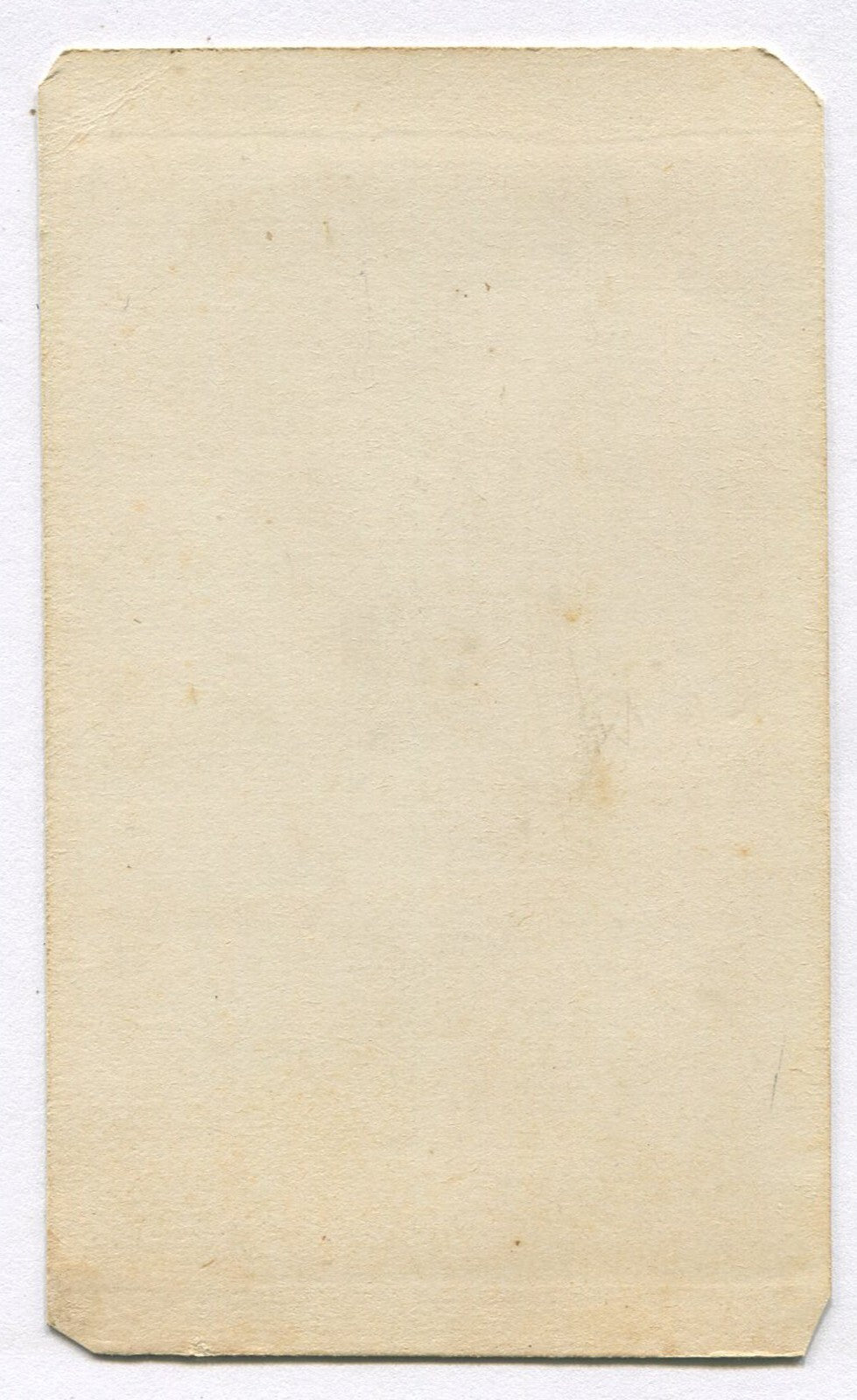 PRETTY, DARK HAIRED GIRL, STANDING POSE. CDV.