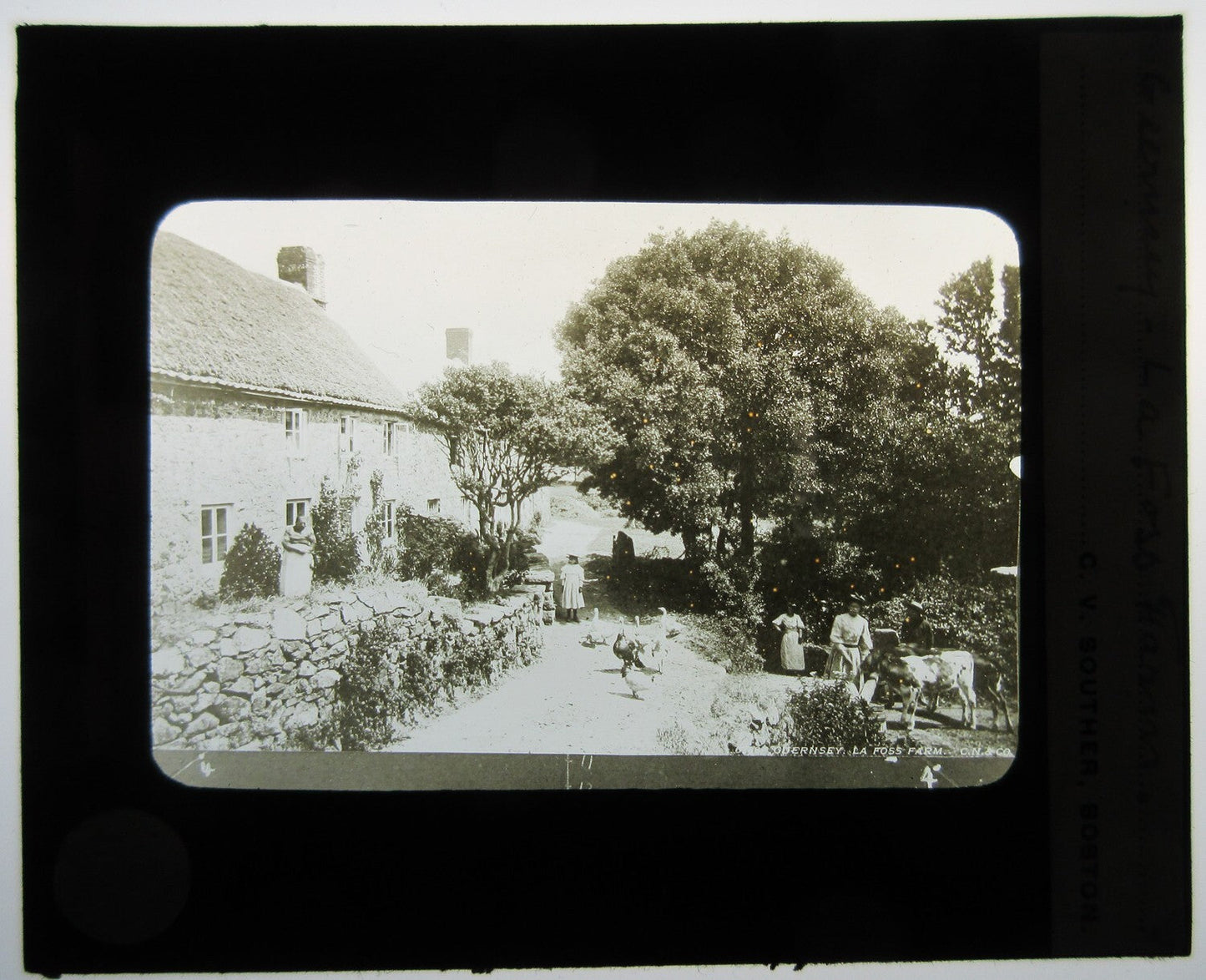 Vintage Hand-Colored Family with Farm Animals Lantern Slide - Original Glass Photo, Tinted, 3.25x3.5 in