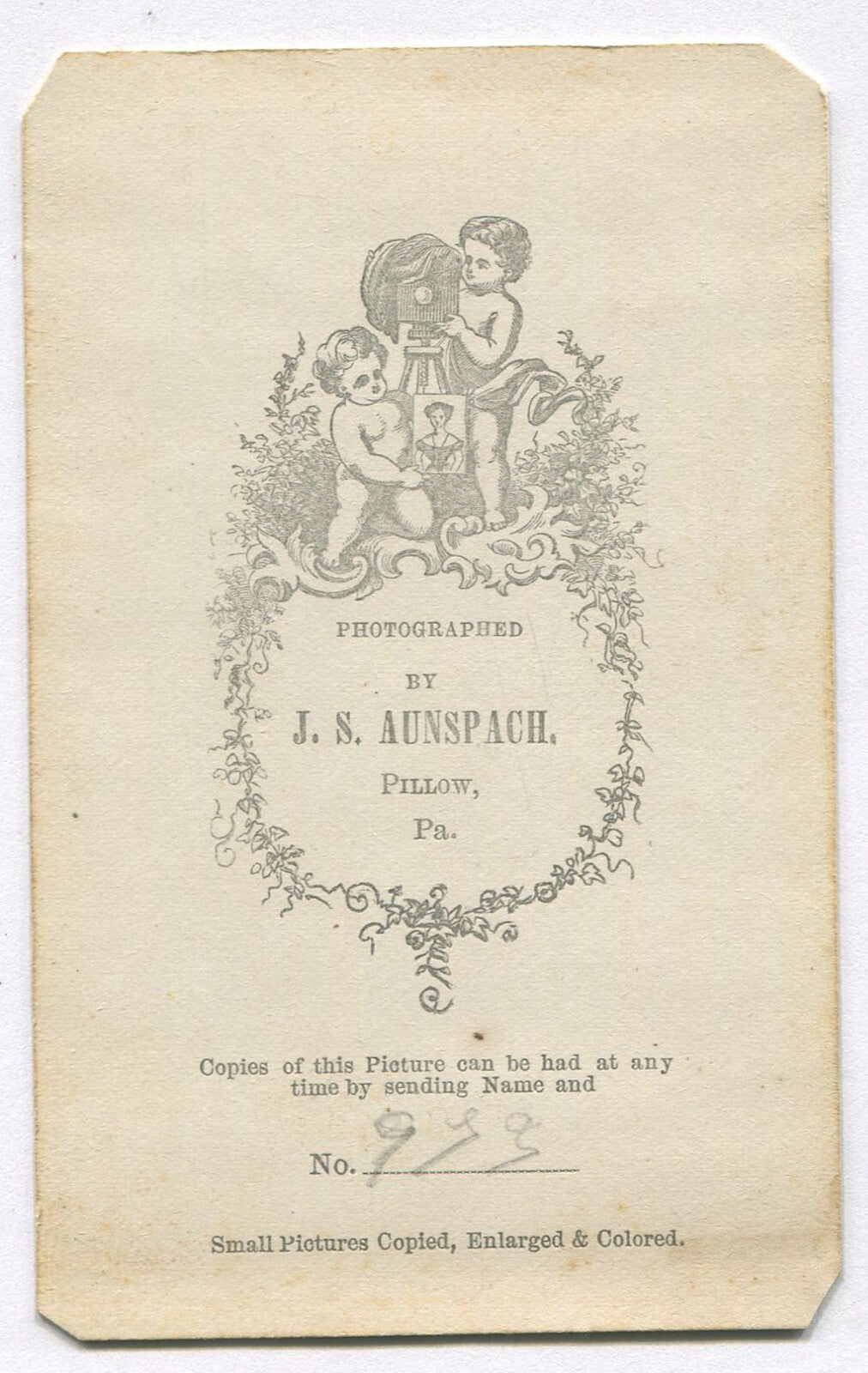 ROUND FACED YOUNG GIRL, STANDING POSE. TINTED CDV. PILLOW, PA.