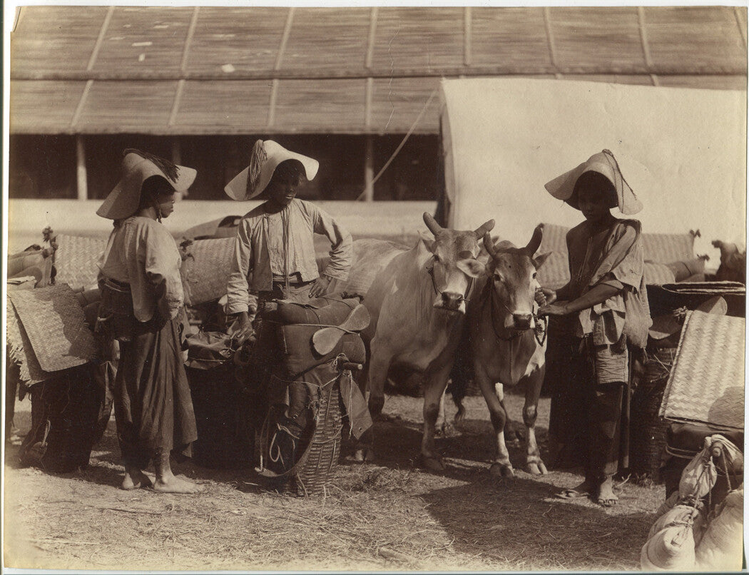 RURAL WOMAN MANAGE LIVESTOCK AND MARKET GOODS. ASIA. UNMOUNTED ALBUMEN 8 X 10.5