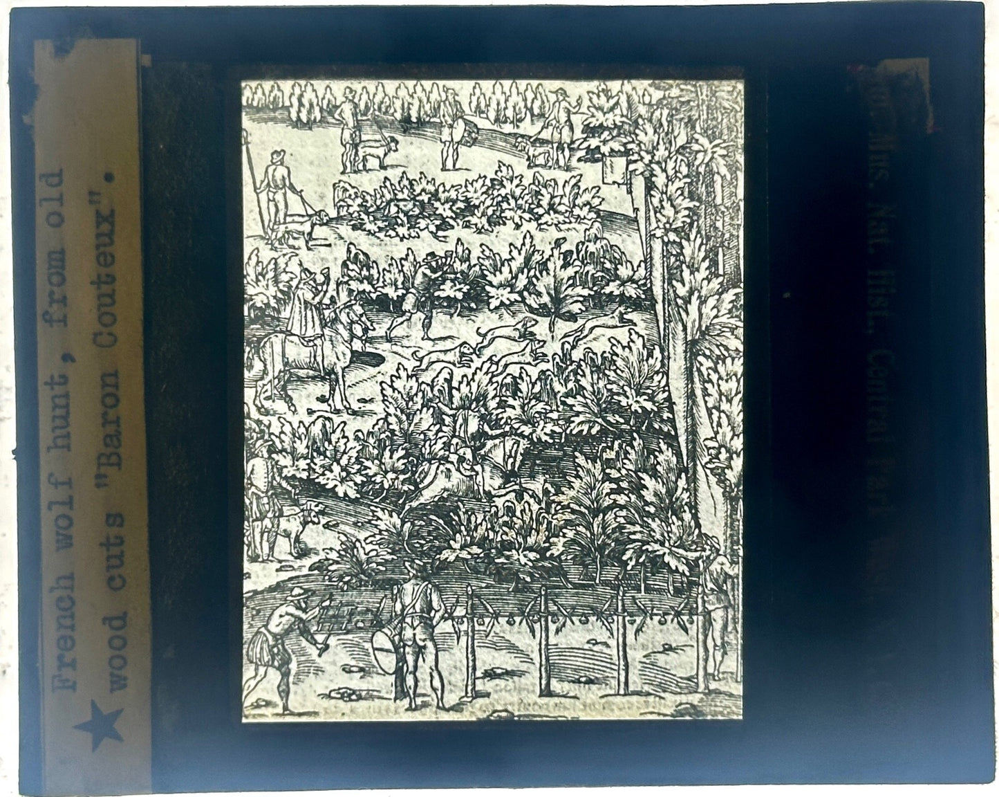 VINTAGE LANTERN SLIDE "FRENCH WOLF HUNT, FRM OLD WOODCUT BARON COUTEUX'  3.25X4"