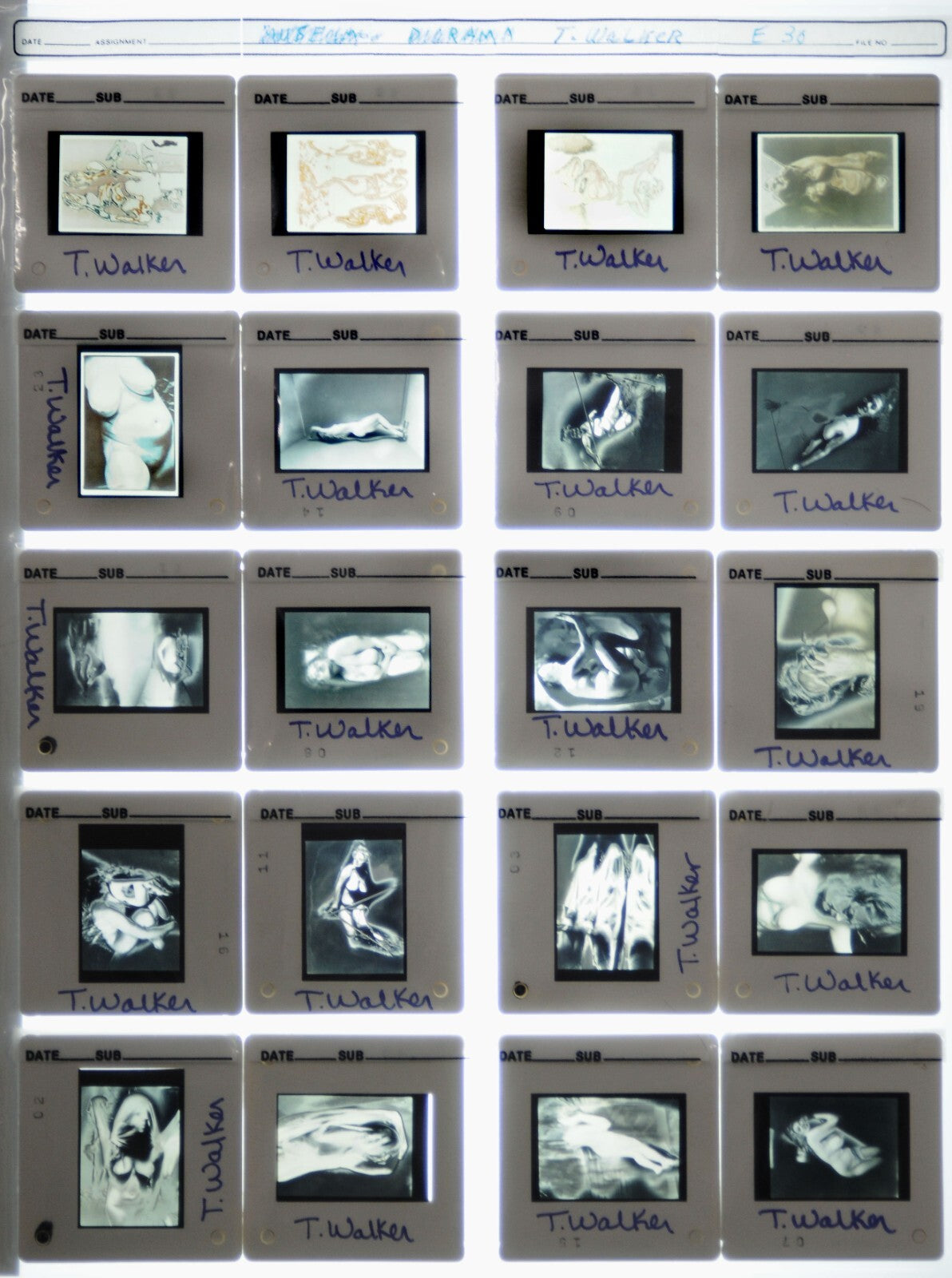 T. Walker Fine Art Photography 35mm Slide Lot of 45