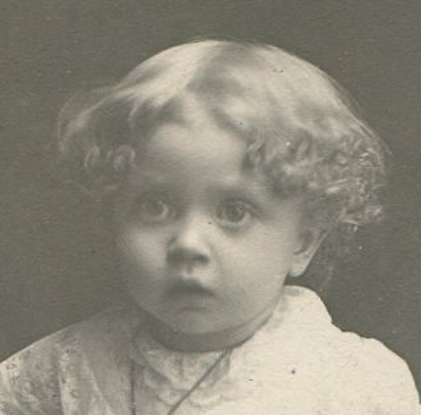 TODDLER POSED HOLDING A FLOWER. TRULY SWEET PHOTO. TONED SILVER PRINT.