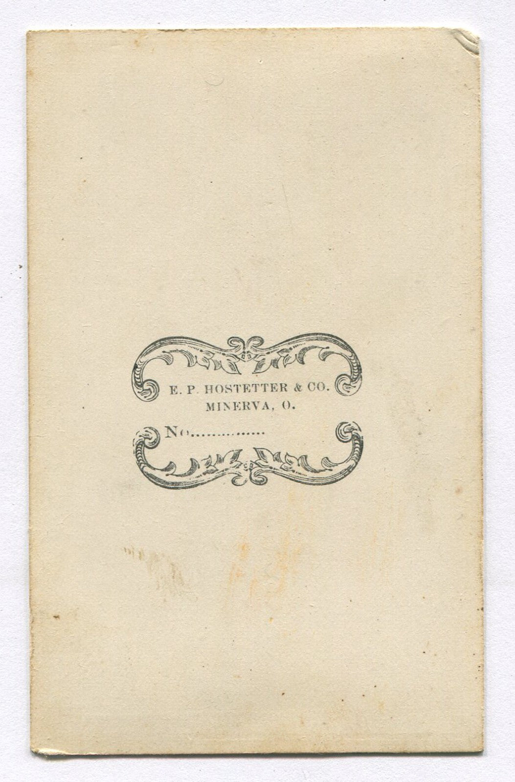 CIVIL WAR ERA CDV. WOMAN, STANDING POSE, PHOTO ALBUM ON TABLE. MINERVA, OHIO.