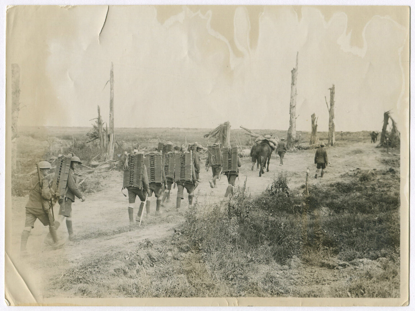 BRITISH WATER CARRIERS GOING TO THE BATTLE FRONT. WWI. (8X10 REPRINT)