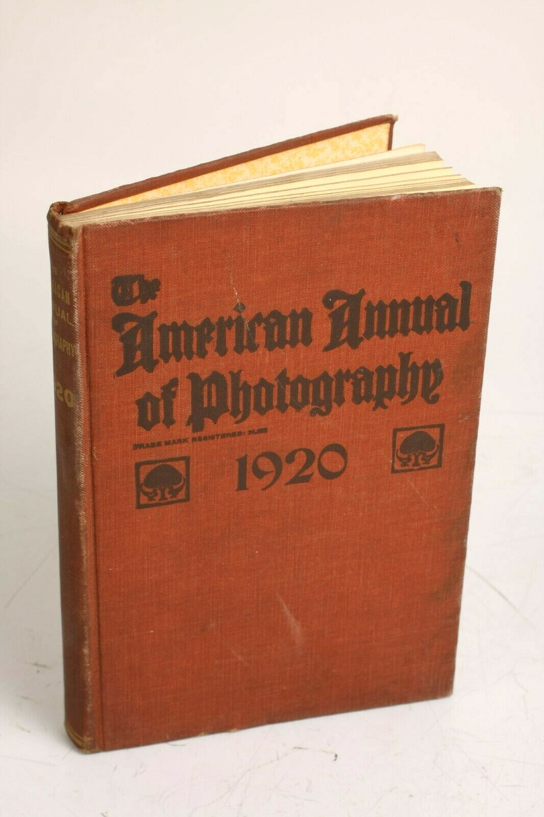 The American Annual of Photography - 1920