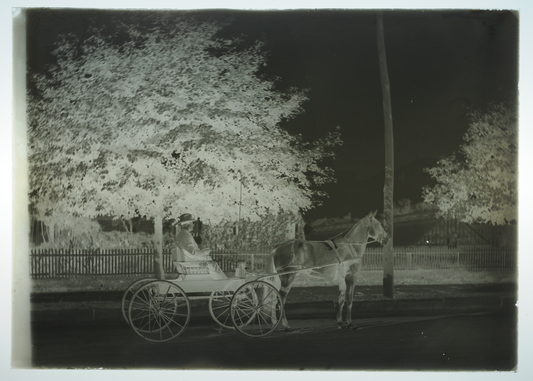 5x7 Glass Plate Negative 1920s Horse Drawn Carriage with Man Vintage Photo