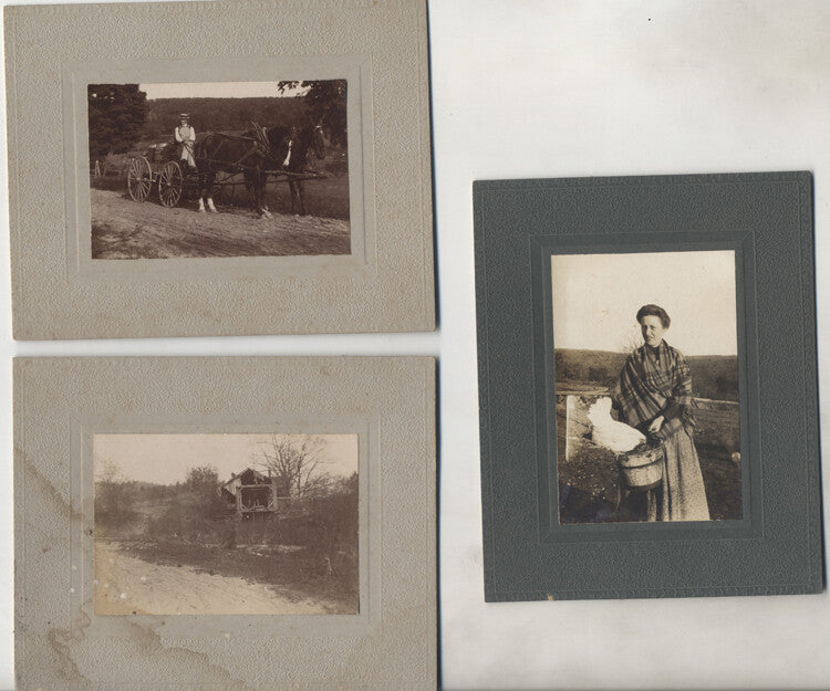 VINTAGE PHOTOS OF FARM W/ HORSE, CHICKEN, WAGON - SET OF THREE