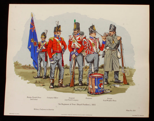 7th Regiment of Foot (Royal Fusiliers) 1815 Illustration 11x14