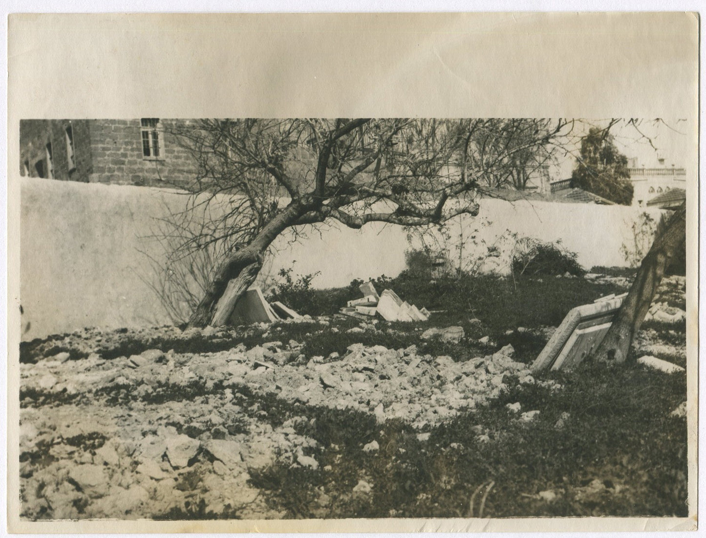 TURKS DESECRATE ARMENIAN CEMETERY IN JAFFA. WWI.  (8x10 REPRINT)