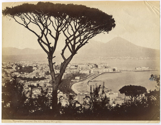 BIRD'S-EYE VIEW OF NAPLES, ITALY. UNMOUNTED ALBUMEN.