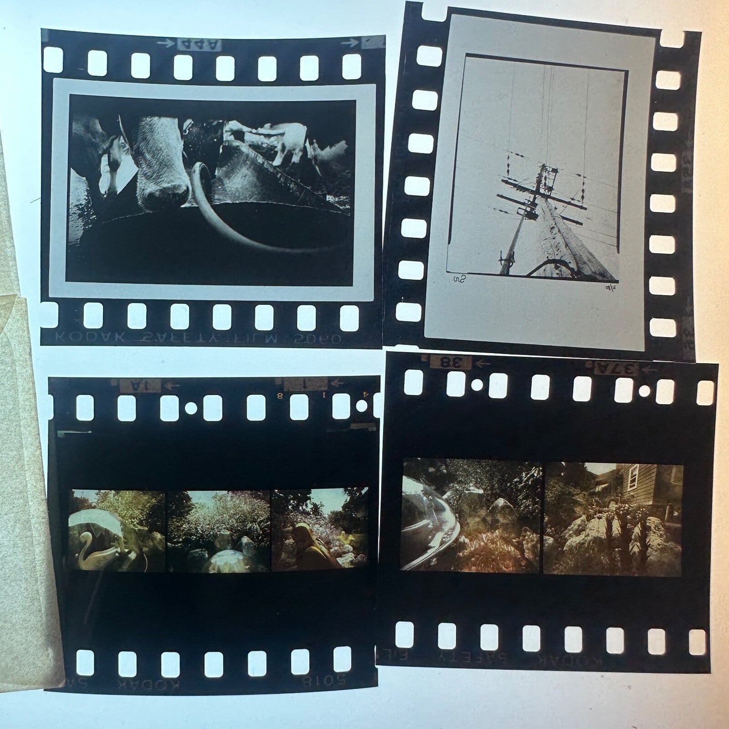 Professional Photography Unknown Large Lot  35mm Unmounted Slides