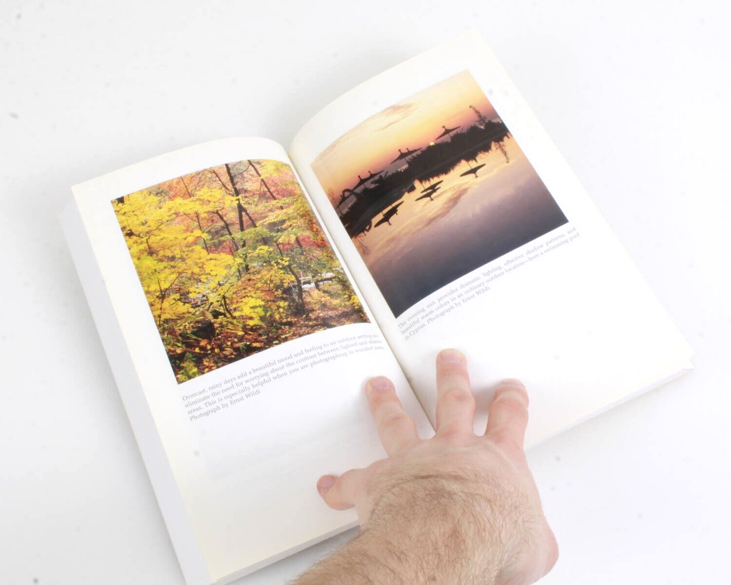 THE MEDIUM FORMAT ADVANTAGE BY ERNST WILDI