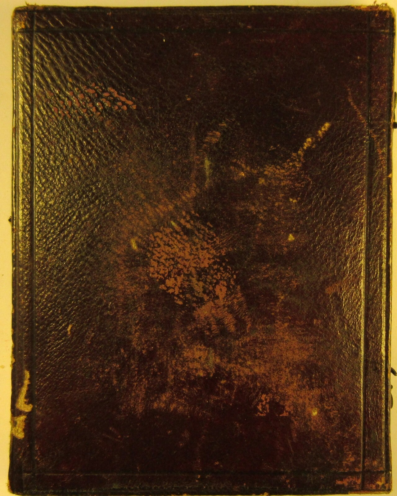 WOMAN IN SCARF. RICHLY TINTED 4TH PLATE AMBROTYPE. HALF CASE.