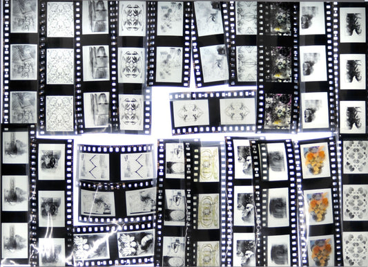 Joan Lyons 35mm Slide Film - Lot of 59