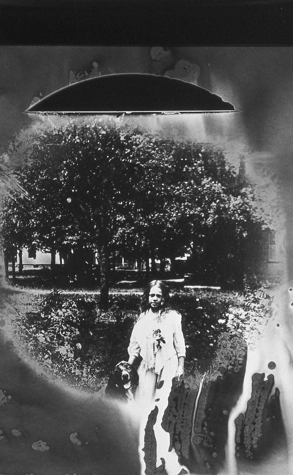 A. Wells Photography - 35mm/135 Slide Film B&W Lot of 20