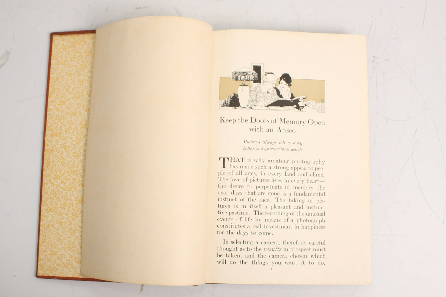 The American Annual of Photography - 1920