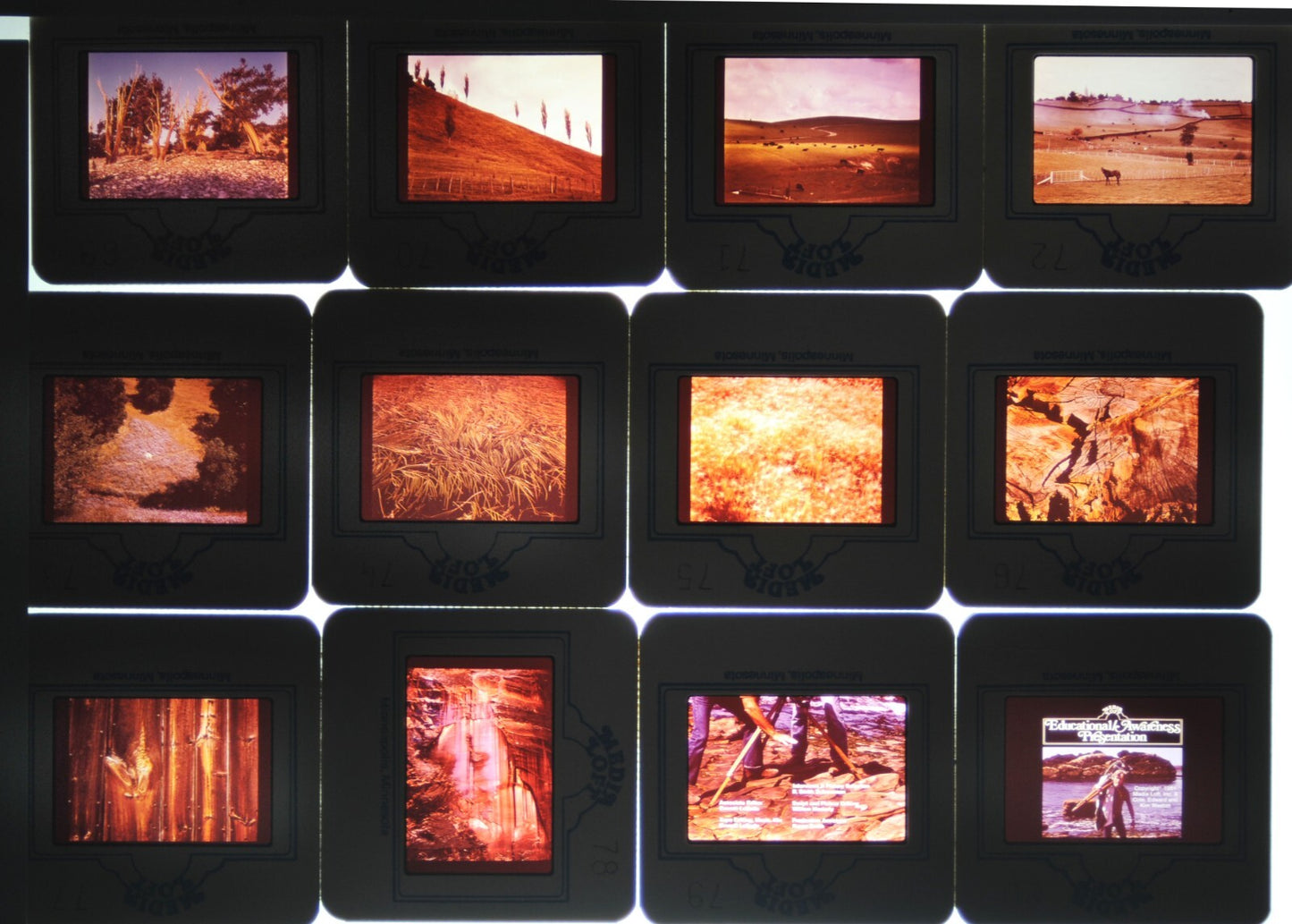 The Weston Eye Educational Photography Kit - 80 Slides 2 Cassettes & Carousel