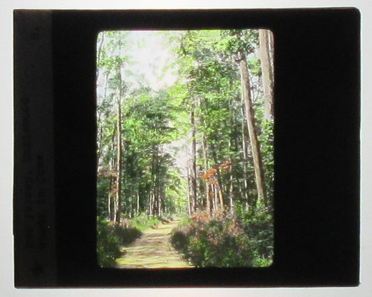 Vintage Hand-Colored Photo on Glass Lantern Slide - Englewood Woods, NJ, 3.25 x