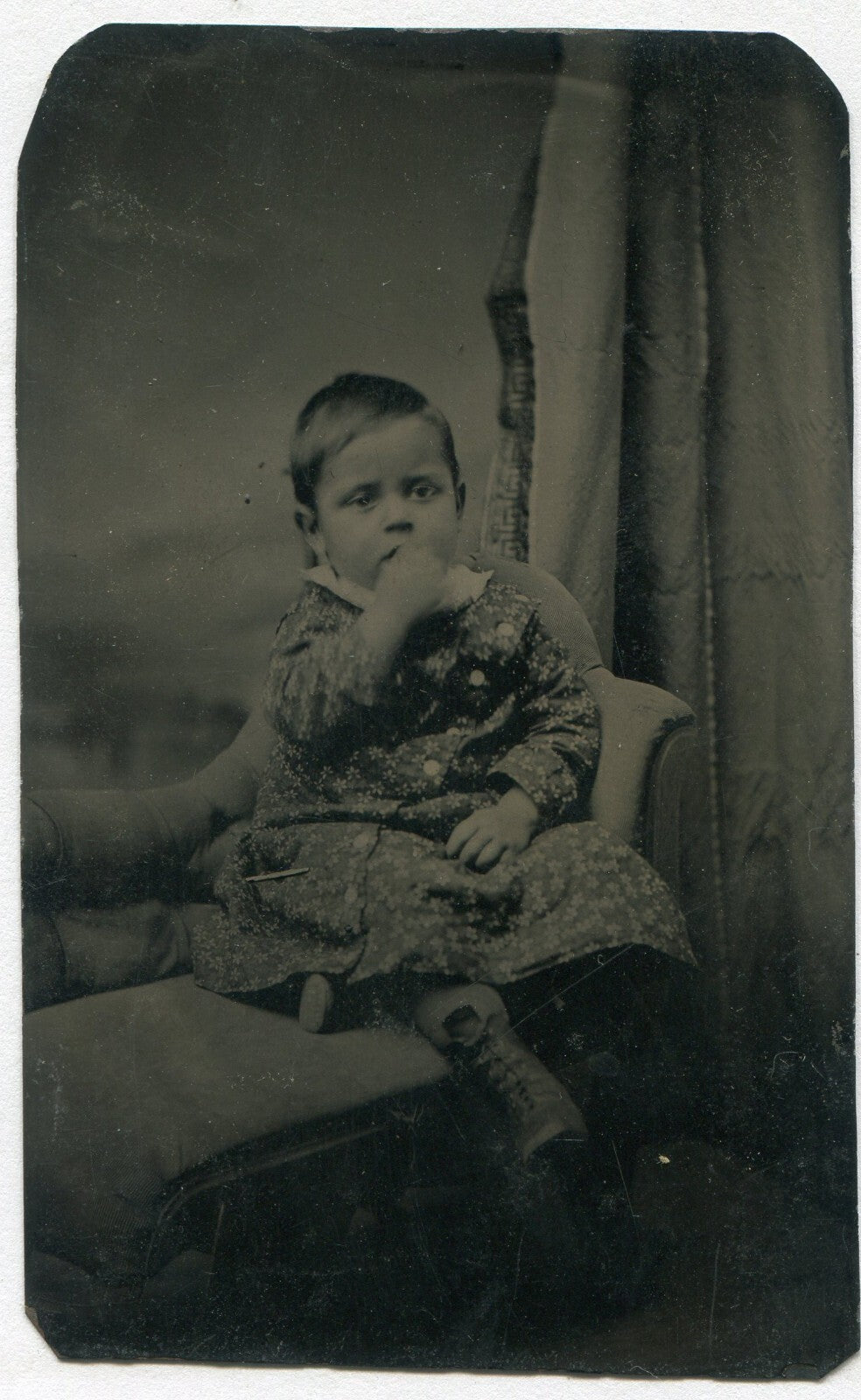 Tintype Toddler Snacking Portrait Seated, Vintage Original Photo 3.75x2.5