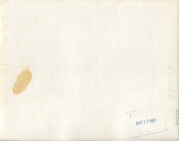 1952 PORTRAIT OF AFRICAN-AMERICAN WOMAN EATING A CAKE - REPRINT