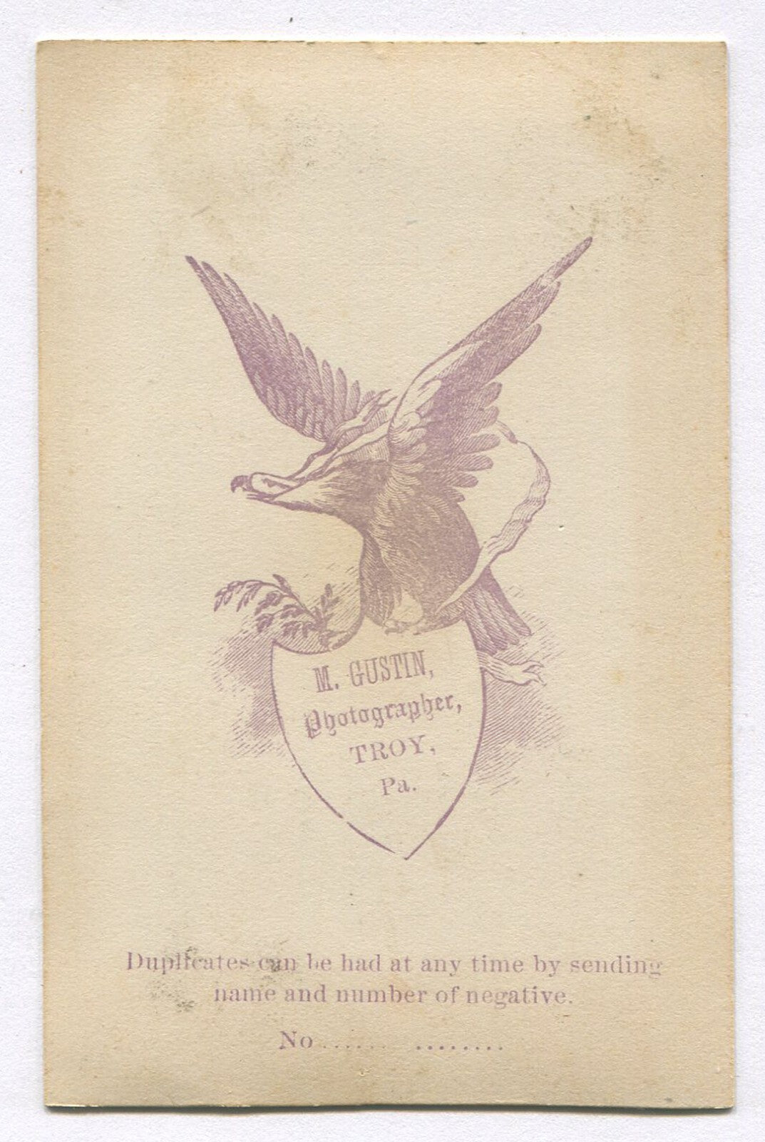 ALMOST HIDDEN MOTHER, WITH STARTLED CHILD. CDV. TROY, PA.