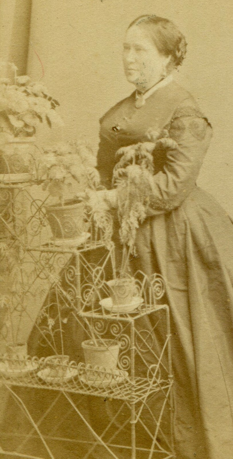 WOMAN POSED AT ORNATE PLANT STAND. CDV. HASTINGS, ENGLAND.
