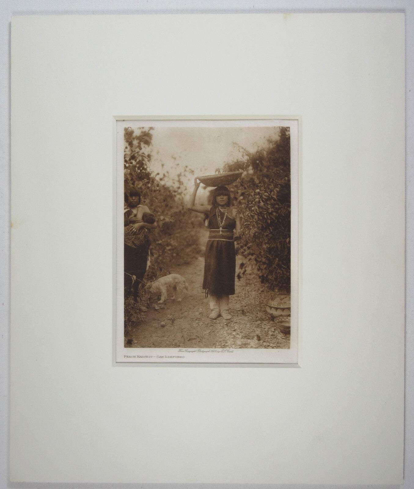 NATIVE AMERICAN WOMAN, PEACH HARVEST BY EDWARD CURTIS,1905.8.5X6 PHOTOGRAVURE