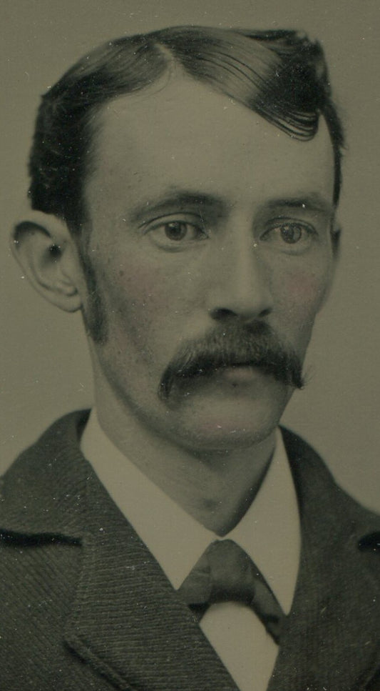 Vintage Tintype Portrait of Long Faced Man with Big Mustache Tintype Photo