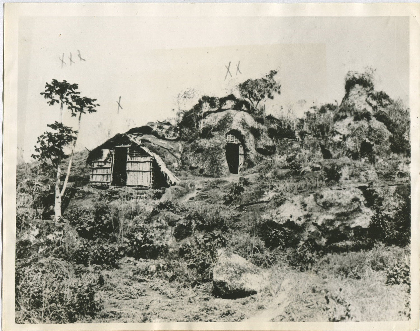 Vintage 8x10 Galapagos photo print: Dr. Friedrich Ritter's home, 1934 travel