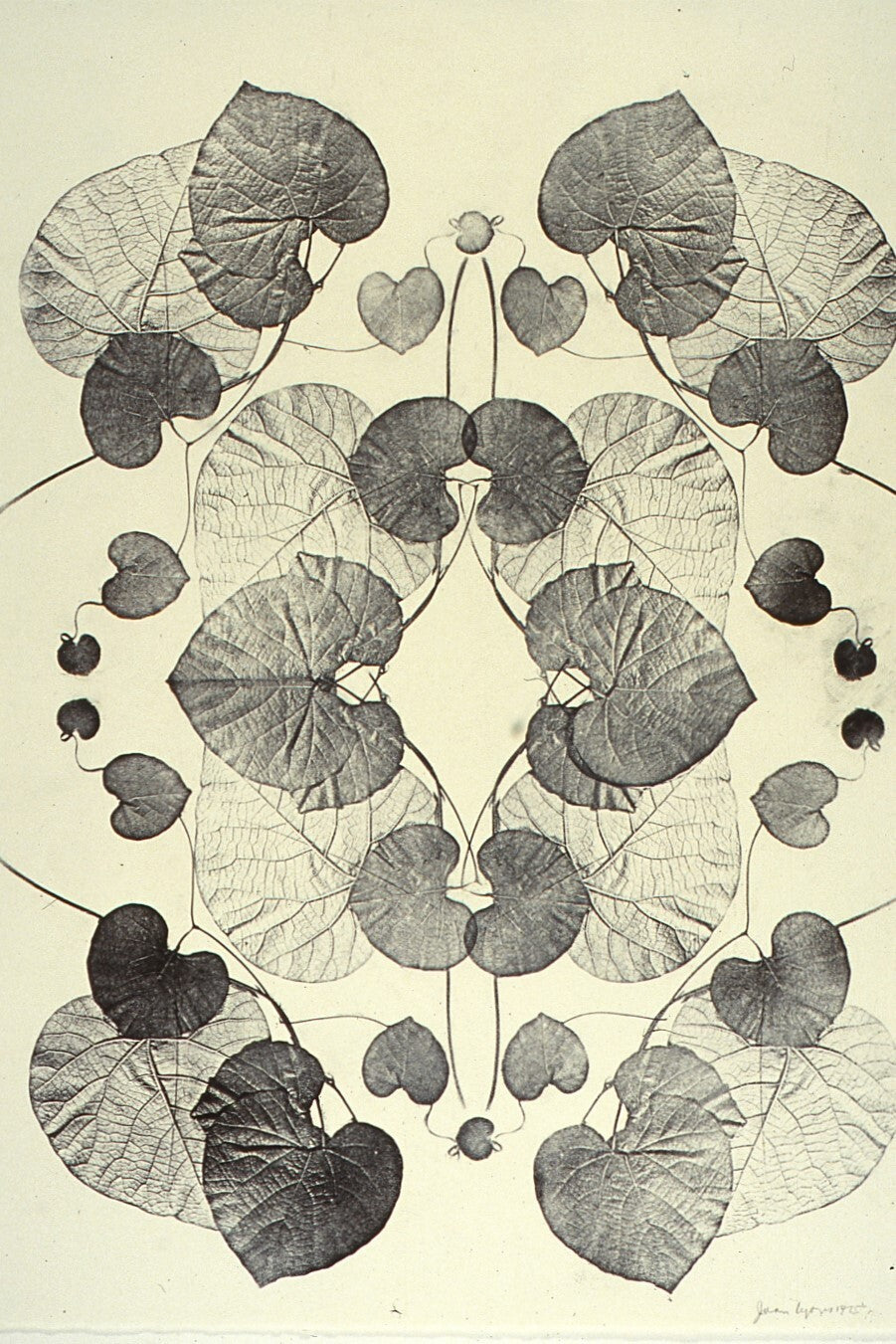 Joan Lyons 35mm Slide Film - Lot of 59