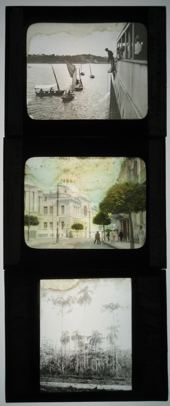 SCENES OF EVERYDAY LIFE, BRAZIL. 3 SET, PHOTO ON GLASS. LANTERN SLIDE.