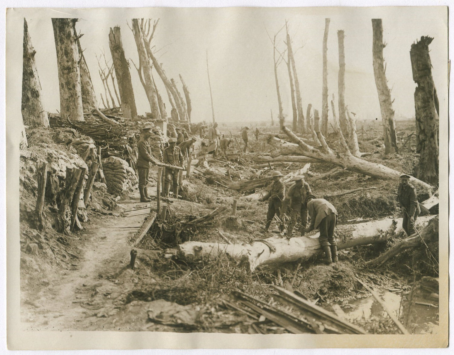 TOTAL DESTRUCTION NEAR ZILLEBEKE, NEAR FLANDERS, BELGIUM. WWI.  (8x10 REPRINT)