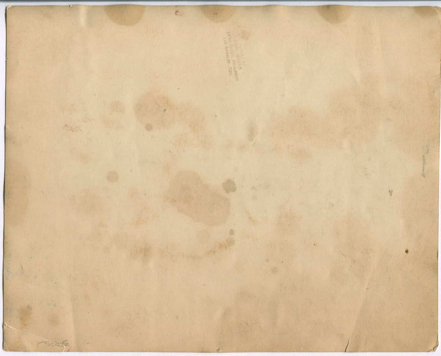 WOMEN IN SAILOR OUTFITS, GARDEN SETTING. 8X10 B&W. 1920-40s.