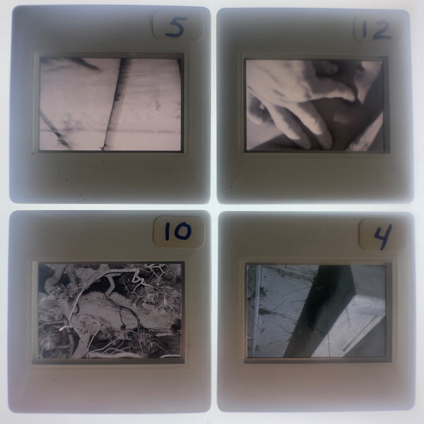 Vintage 35mm Glass Slides (51) Nettles & Hallman - Bea Nettles, Gary Hallman Photo Set