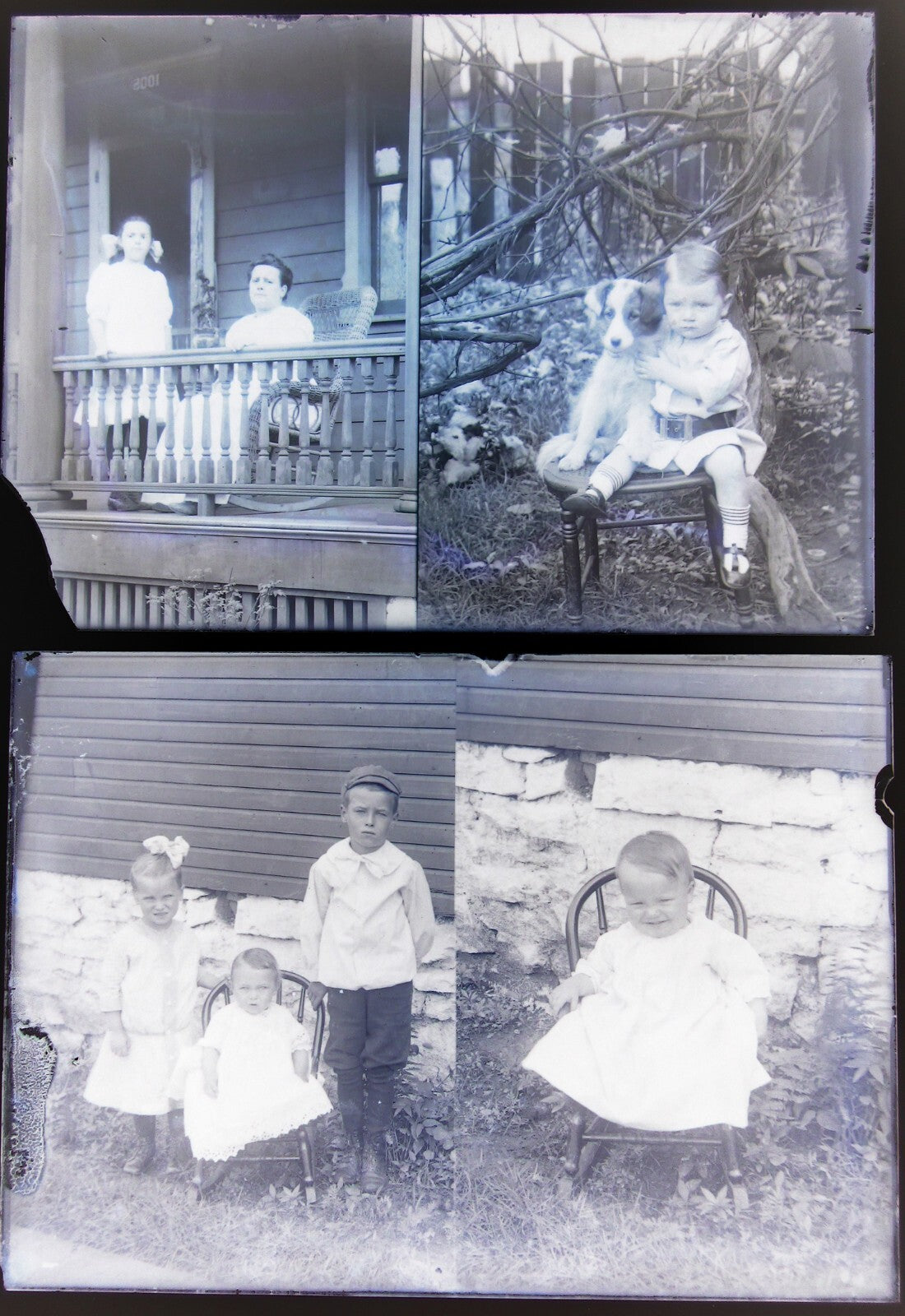 FAMILY/CHILDREN/PUPPY, POSED OUTDOORS. MULTIPLE IMAGES ON TWO 5X7 GLASS NEGATIV