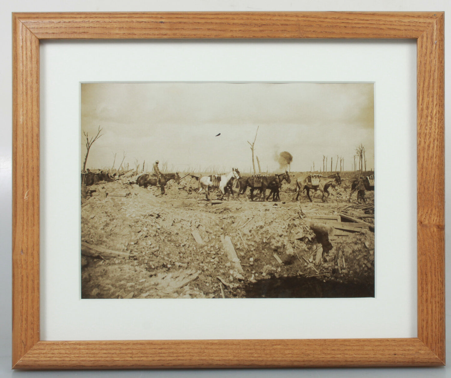 WWI BRITISH SOLDIER W/PACK ANIMALS CARRY ARMAMENTS. B&W PHOTO, 8X10 FRAME.