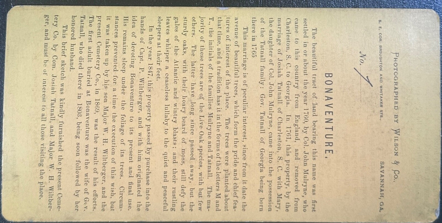 Vintage Stereoview Card: ���Bonaventure Cemetery, Savannah Georgia ��� 3.5x7in