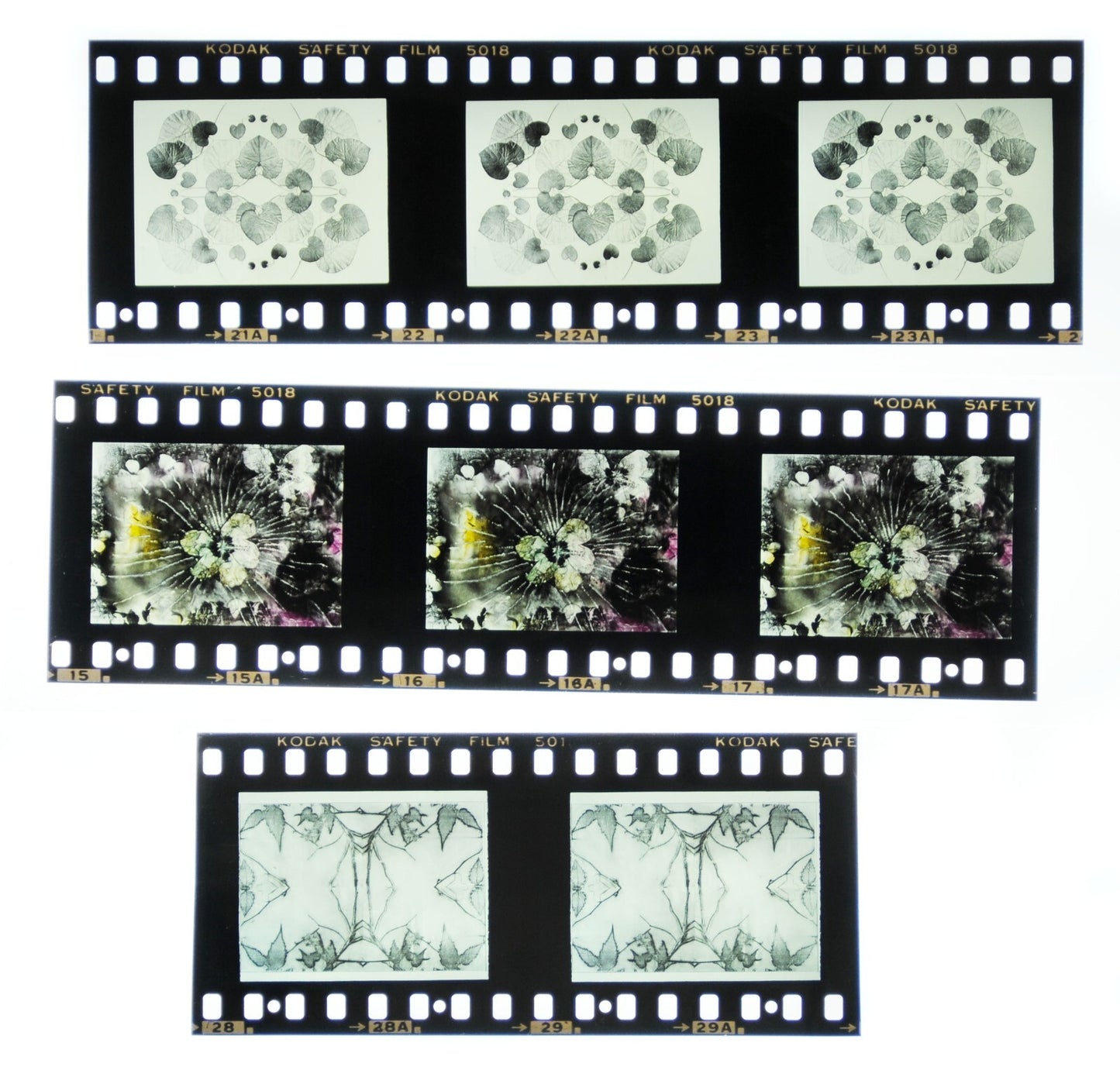 Joan Lyons 35mm Slide Film - Lot of 59