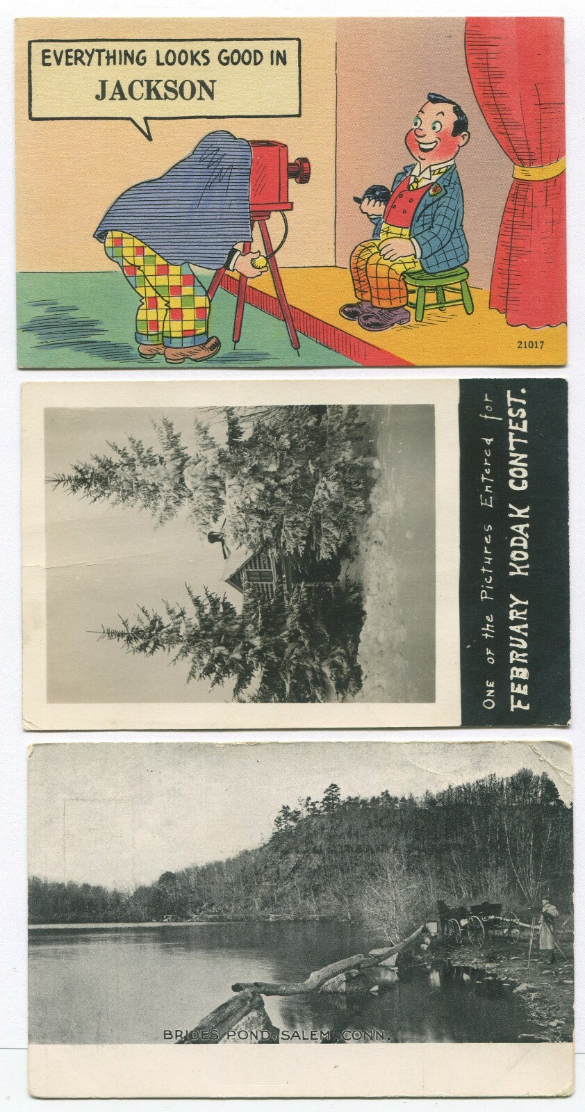 POSTCARDS, NATURE, CARTOON. 3 SET. PHOTO/LITHOGRAPH.