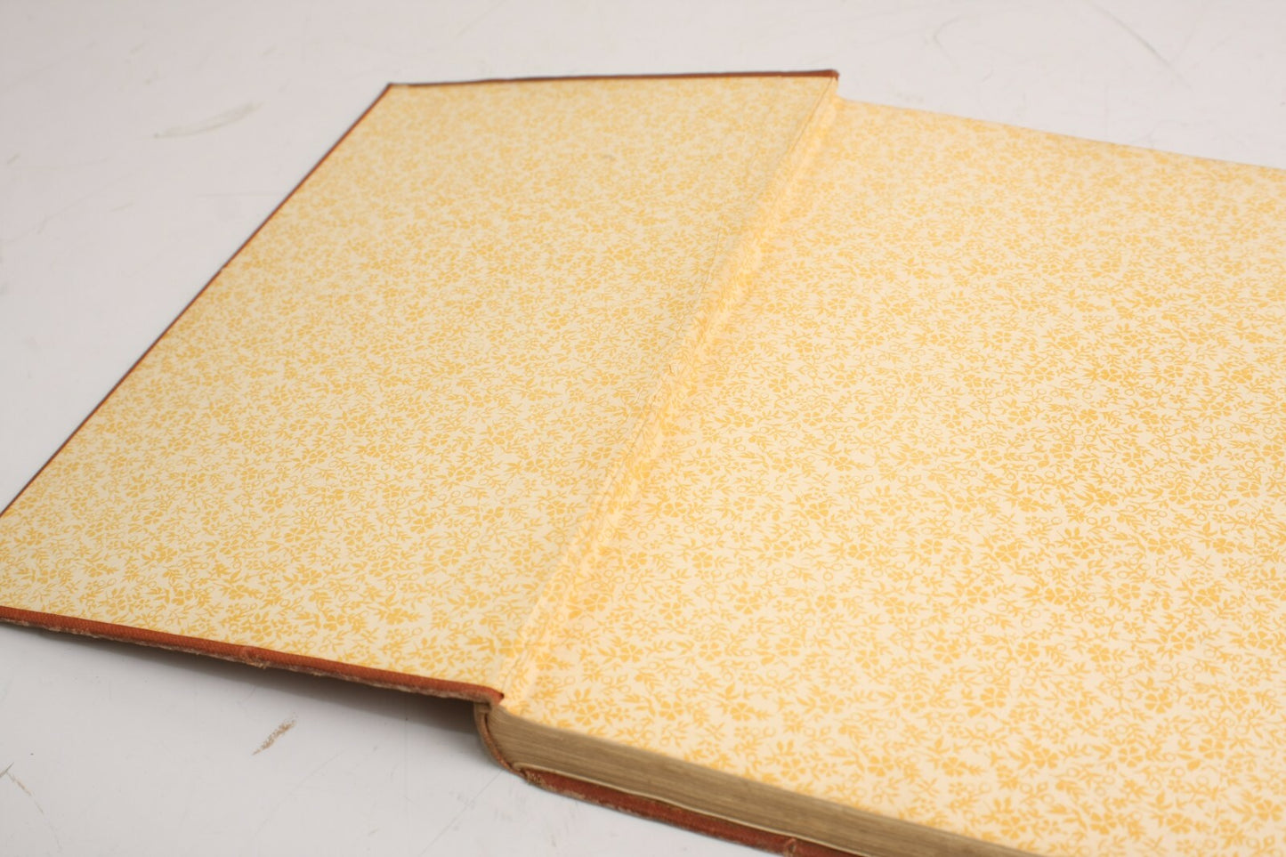 The American Annual of Photography - 1920